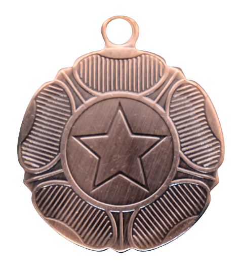 Medal Bronze